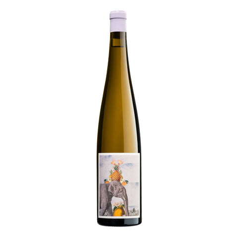 Riesling Zehn. Punkt. Null - Weingut Aufricht