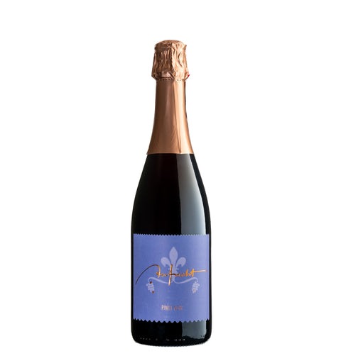 Sekt Pinot Noir - Weingut Aufricht