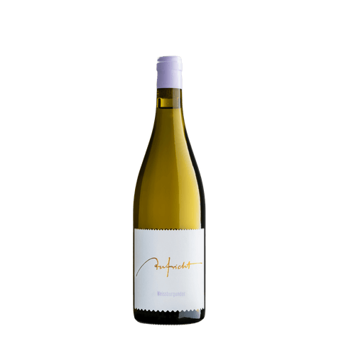 Weissburgunder - Weingut Aufricht